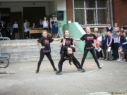 IMG_7285.jpg