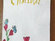IMG_20170428_174055.jpg
