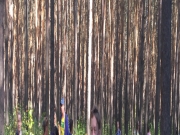 IMG_0329-16-09-17-12-00.JPG