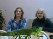 61.jpg