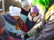 IMG_20191128_112253.jpg