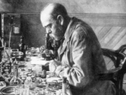 image1.gif