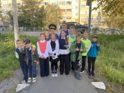 image3_2_11zon.jpg